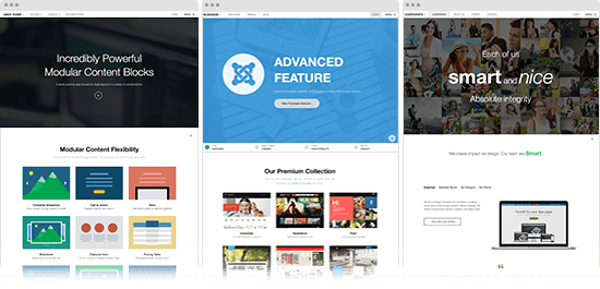 bundled with 17 pre built site templates